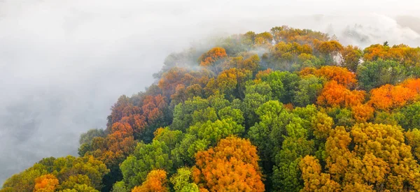 Herfst Bos Met Felgekleurde Bomen Algen Moeras Bovenaanzicht Mist Bij — Stockfoto