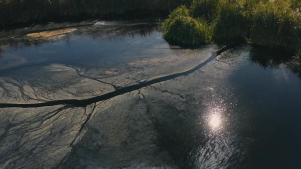 Problema ambiental. Contaminación del agua por toxinas nocivas. — Vídeos de Stock