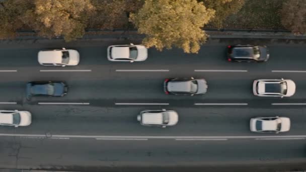 Starker Verkehr auf der Stadtallee. Ansicht von oben. — Stockvideo