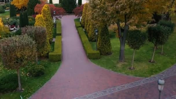 Topiary form of haircut plants in the park. — Stock Video