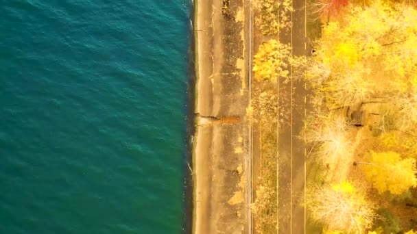Dijkpunt van herfstpark, bovenaanzicht van drone uitzicht. — Stockvideo