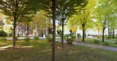 Sarı ağaçlı sonbahar parkı, pürüzsüz uçuş.