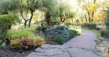 Kayalıklardaki kozalaklı bitkiler. İngiliz tarzı bahçe. Sonbahar Parkı.