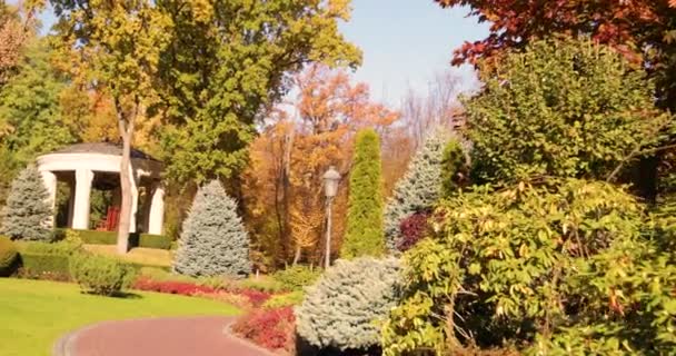 Herbstpark mit gelben Bäumen, sanfter Flug. — Stockvideo