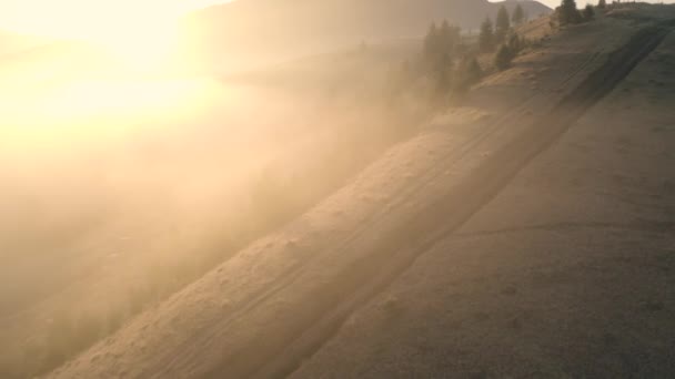 Niebla de la mañana en el bosque de montaña fresca. — Vídeos de Stock