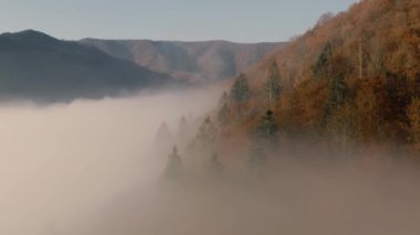 Dağlar sonbahar ormanı sisli şafak drone görüntüsü