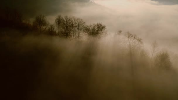 Montañas bosque otoño niebla amanecer drone vista — Vídeos de Stock