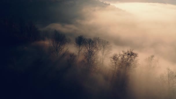 Montañas bosque otoño niebla amanecer drone vista — Vídeos de Stock