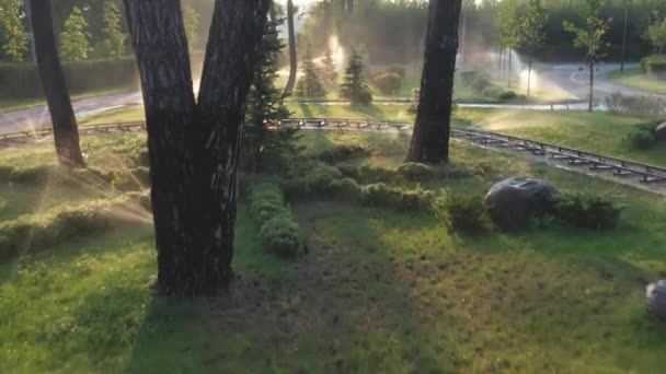 Automatisk bevattning av gräsmattan i parken i gryningen. — Stockvideo