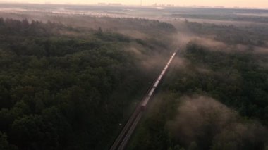Bir yük treni ormanda yüksek hızda hareket ediyor. Hava görünümü.