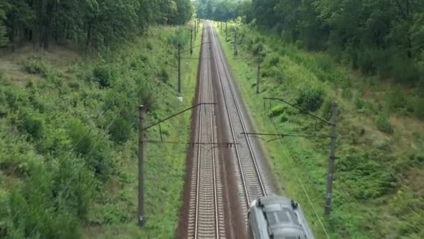 Um trem de carga está se movendo em alta velocidade através da floresta. Vista aérea. — Vídeo de Stock