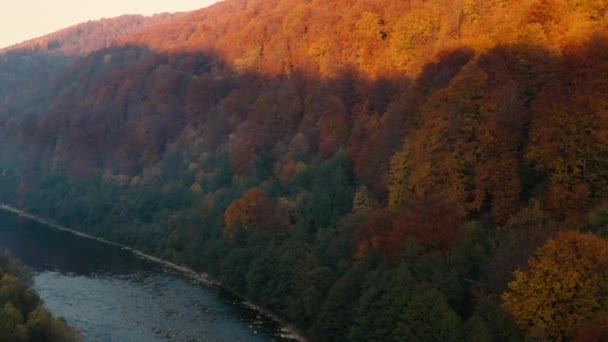 秋の山の風景。川は山の中を流れる. — ストック動画