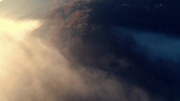 Höstskog i dimman, vackert fjällmorgonslandskap. Utsikt från drönaren. — Stockvideo