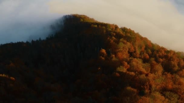 Jesienny las we mgle, piękny górski poranek. Widok z drona. — Wideo stockowe
