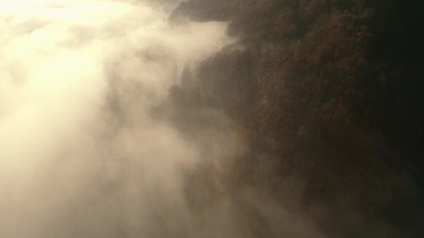 秋天的森林在雾中,美丽的山地晨景.从无人机看到的. — 图库视频影像