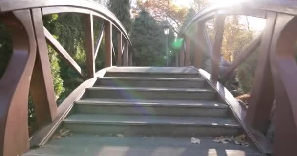 Pont solide en bois brun dans le parc jaune d'automne. — Video