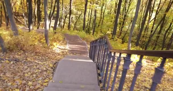 Ponte solido in legno marrone nel parco giallo autunno. — Video Stock