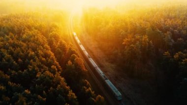 Bir yük treni ormanda yüksek hızda hareket ediyor. Hava görünümü.