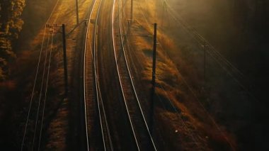 Bir yük treni ormanda yüksek hızda hareket ediyor. Hava görünümü.