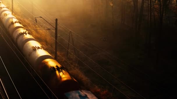 Bir yük treni ormanda yüksek hızda hareket ediyor. Hava görünümü. — Stok video