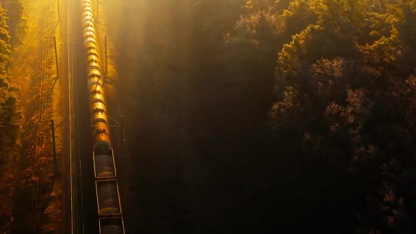 Ένα φορτηγό τρένο κινείται με μεγάλη ταχύτητα μέσα στο δάσος. Αεροφωτογραφία. — Αρχείο Βίντεο