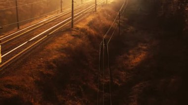 Bir yük treni ormanda yüksek hızda hareket ediyor. Hava görünümü.
