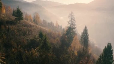 Dağlarda sonbahar yaprak döken ormanları