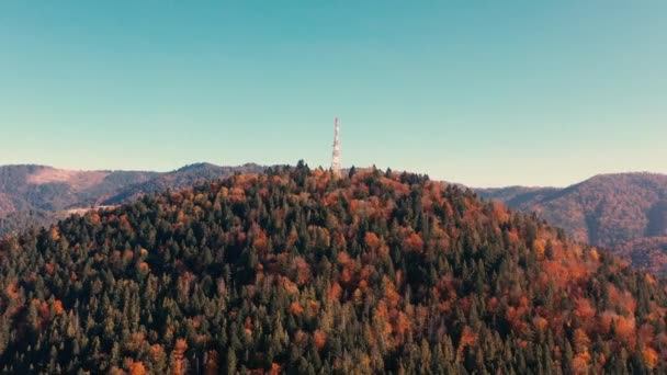 Autunno bosco deciduo in montagna — Video Stock