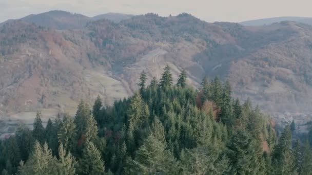 Outono floresta conífera e caduca nas montanhas. Vista para drones. — Vídeo de Stock