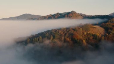 Sonbahar orman dağı şafak vakti sis drone görüntüsü