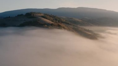 Sonbahar orman dağı şafak vakti sis drone görüntüsü