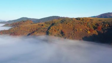 Sonbahar orman dağı şafak vakti sis drone görüntüsü