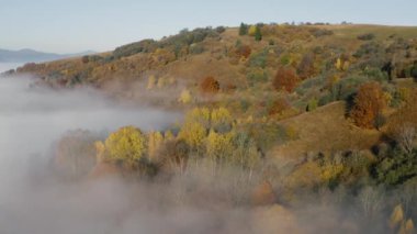 Sonbahar orman dağı şafak vakti sis drone görüntüsü