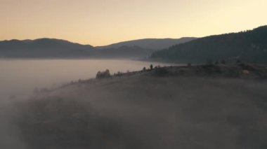 Sonbahar orman dağı şafak vakti sis drone görüntüsü