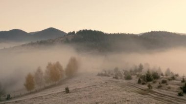 Sonbahar orman dağı şafak vakti sis drone görüntüsü
