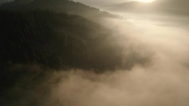Sonbahar orman dağı şafak vakti sis drone görüntüsü