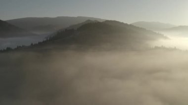 Sabah sisi, orman dağı şafağı