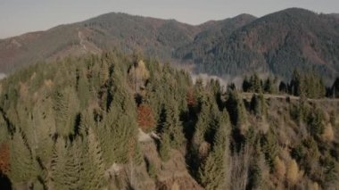 Sabah sisi, orman dağı şafağı