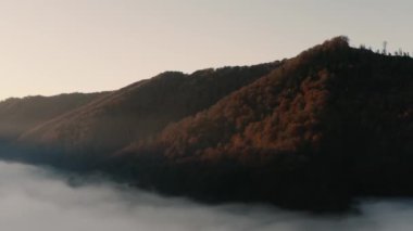 Sonbahar orman dağı şafak vakti sis drone görüntüsü