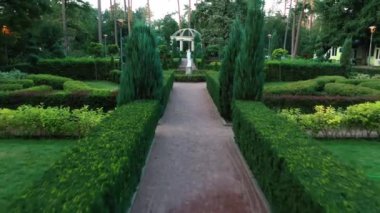 Bucha Central Park 'taki yeşil İngiliz ağaç bahçesi..