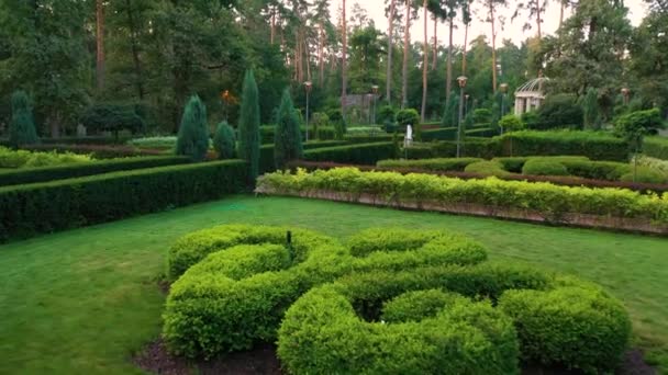 Grădină topiară verde engleză în parcul central din Bucha. — Videoclip de stoc
