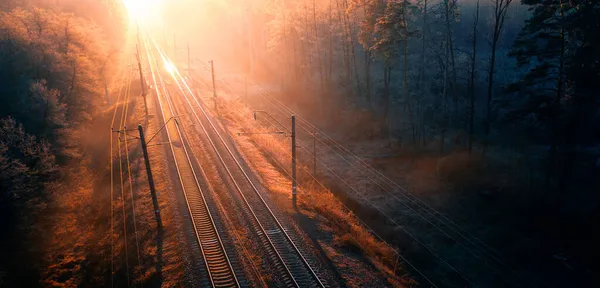 Ferrovia Atravessa Floresta Pistas Vazias Pôr Sol Amanhecer — Fotografia de Stock