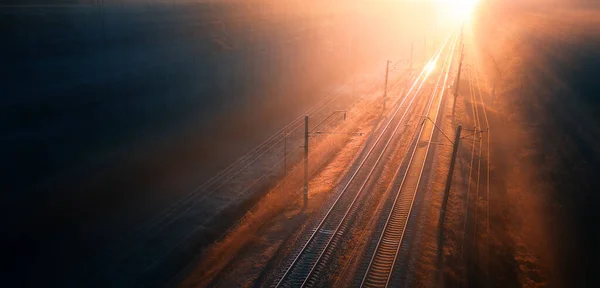 Demiryolu Ormandan Geçiyor Gün Batımında Veya Şafakta Boş Raylar — Stok fotoğraf