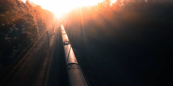 Kaynaklarla Dolu Bir Yük Treni Kargoyu Ormandan Geçirir Harika Bir — Stok fotoğraf