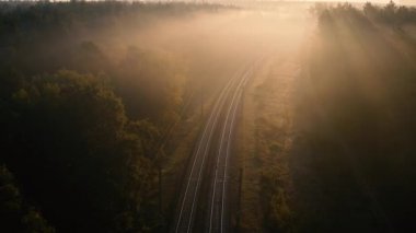 Şafak vakti kozalaklı bir ormanda tren yolu. İnsansız hava aracından görüntüle.