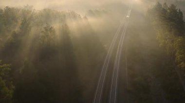 Bir yük treni ormanda yüksek hızda hareket ediyor. Hava görünümü.
