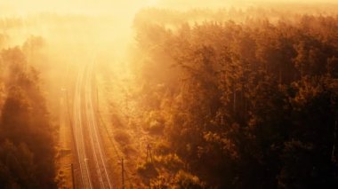 Şafak vakti kozalaklı bir ormanda tren yolu. İnsansız hava aracından görüntüle.