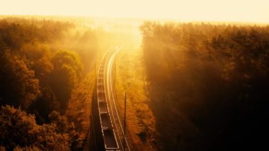 Bir yük treni ormanda yüksek hızda hareket ediyor. Hava görünümü.