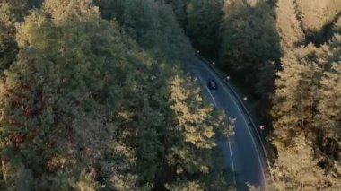 Yoğun yeşil bir ormanın içinden otoyol. Drone görünümü.