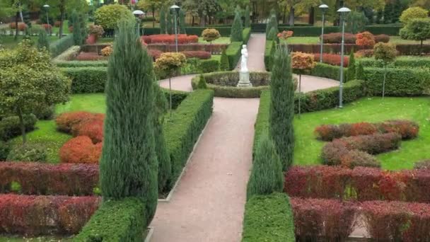 Jardin topiaire anglais vert dans le parc central de Bucha. — Video